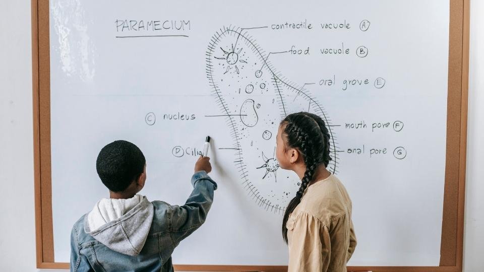 Dari Siapa Kecerdasan Anak Diturunkan?